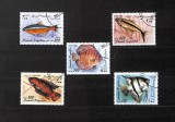 Somalia &ndash; Set 5 timbre cu pești tropicali, fauna marină, ștampilate