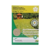 Seminte Gazon cu Flori Agrosel, 1 kg - Gazon Ornamental, Gradina
