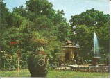 @carte postala(ilustrata)-BUZIAS-Vedere din parc