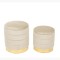 Set taburete Velvet Beige Gold