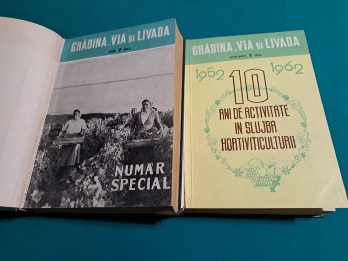 REVISTA GRĂDINA, VIA ȘI LIVADA / AN COMPLET *12 NUMERE / 1962 *