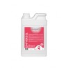 Diamex Sampon Caini Universal cu Fructe, Par Scurt, 1 Litru