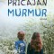 Murmur &ndash; Mircea Pricajan