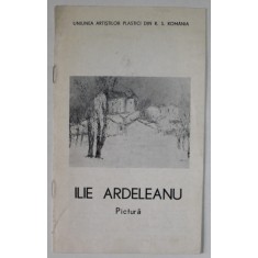 ILIE ARDELEANU , PICTURA , CATALOG DE EXPOZITIE , GALERIA &#039;&#039; CAMINUL ARTEI &#039;&#039; , IULIE , 1980