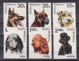 Romania MNH 1971 - Caini - LP 754