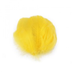 Set 20 pene decorative de strut lungime 6-10 cm, Galben