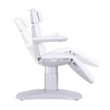 Pat cosmetic profesional cu 3 motoare electrice &ndash; model 2270F