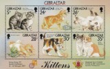 Timbre Gibraltar 1997 - Pisici / Colita MNH, Straine Dupa 1950