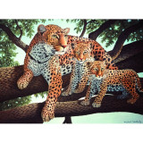 Pictura pe numere juniori - Leopard african, Jad