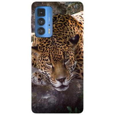 Husa compatibila cu Motorola G50 model Leopard, Silicon, TPU, Viceversa foto