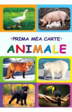 Prima mea carte: Animale