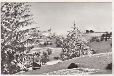 bnk cp Peisaj de iarna pe Muntele Semenic - uzata foto