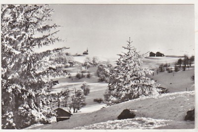 bnk cp Peisaj de iarna pe Muntele Semenic - uzata foto