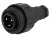 Conector Circular 3-PIN Filet Interior PX0731/P