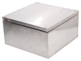 Carcasă universală RAYCHEM RPG din oțel inoxidabil 300mm x 300mm x 121mm