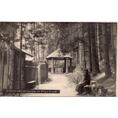 Carte postala circulata in anul 1930 Zizin, Brasov