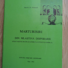 MARTURISIRI DIN MLASTINA DISPERARII - DUMITRU GH BORDEIANU, PARIS 1992