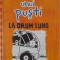 Jurnalul unui puști 9. La drum lung