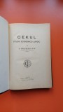 Cekul- studiu economico juridic- Galesescu Pik