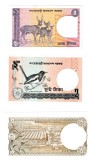 BANGLADESHI - Lot 3 bancnote - Ani diferiti - 1 TAKA / 2 TAKA / 5 TAKA - UNC (405)