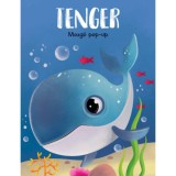 Mozg&oacute; pop-up - Tenger