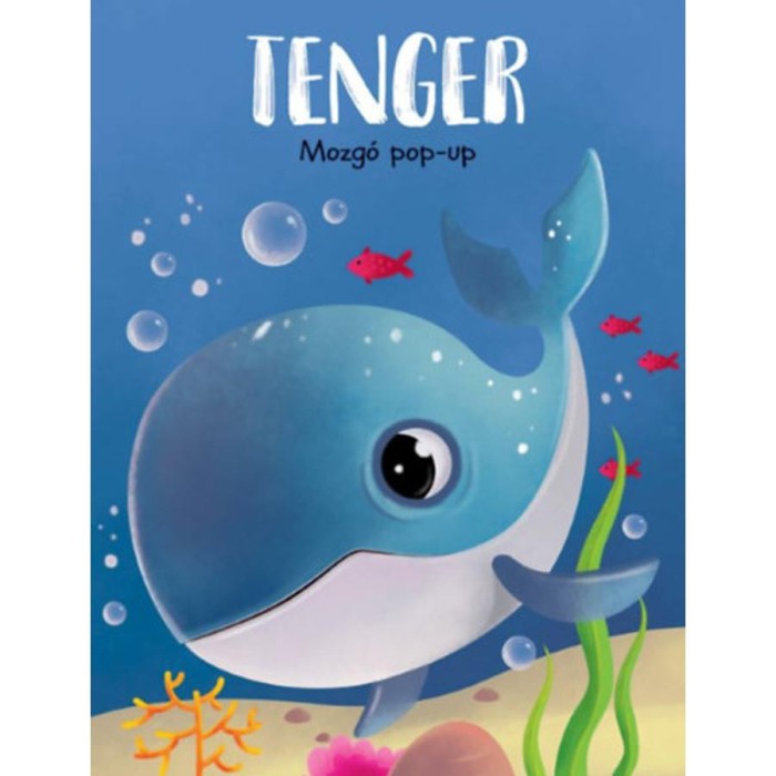 Mozg&oacute; pop-up - Tenger