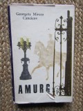 Georgeta Mircea Cancicov - Amurg