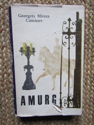 Georgeta Mircea Cancicov - Amurg foto