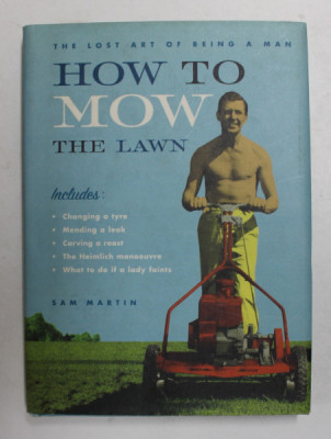 HOW TO MOW THE LAWN - THE LOST ART OF BEING A MAN by SAM MARTIN , 2003 foto