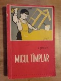 Micul timplar- A. Sepelev