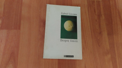 DESPRE LIMITA - GABRIEL LIINCEANU foto