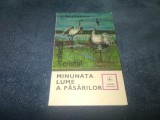I BORDEIANU - MINUNATA LUME A PASARILOR