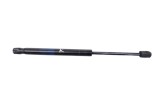 Amortizor capota st&acirc;nga față TESLA MODEL X 2020 OEM: 1033879-00-B 27976318