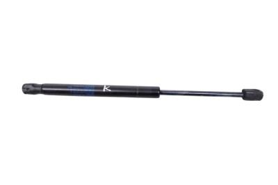 Amortizor capota st&amp;acirc;nga față TESLA MODEL X 2020 OEM: 1033879-00-B | 27976318 foto