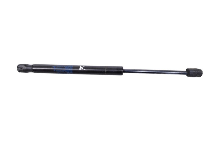 Amortizor capota st&acirc;nga față TESLA MODEL X 2020 OEM: 1033879-00-B | 27976318