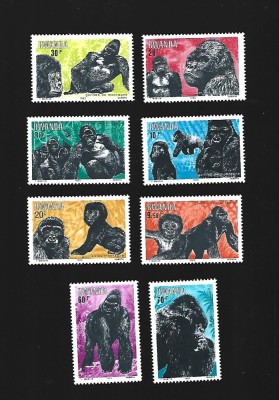 rwanda mnh foto