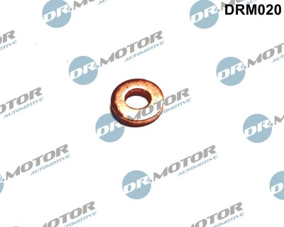 Inel Etansare, Injector 243948 DRM020 foto