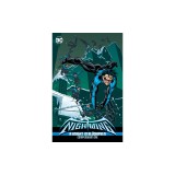 Nightwing: A Knight in Bludhaven Compendium Book One