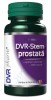 DVR STEM PROSTATA 60CPS, DVR Pharm