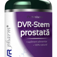 Dvr stem prostata 60cps