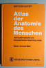 Atlas der Anatomie des Menschen. Band 1: Arm und Bein - Bertolini, Leutert, 1987