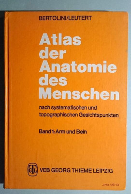 Atlas der Anatomie des Menschen. Band 1: Arm und Bein - Bertolini, Leutert, 1987 foto