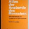 Atlas der Anatomie des Menschen. Band 1: Arm und Bein - Bertolini, Leutert, 1987