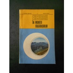 E. Puscaru Soroceanu, Dumitru Puscaru - Excursii in Muntii Fagarasului