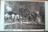 Carte postala, Baile Herculane, vedere din parc, 1926