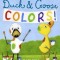Duck &amp; Goose Colors