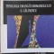 TIPOLOGIA UMANA IN ROMANELE LUI G. CALINESCU-CORINA SIMEANU-235282