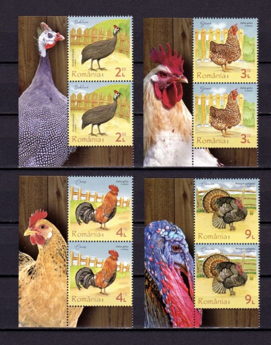 ✅RO 2023 LP 2430 &quot;Pasari de curte &quot;, serie pereche V + manseta ,MNH