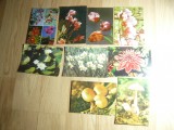 8 Ilustrate - Flora , Romania anii 67 ,68 ,71 ,72