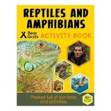 Bear Grylls Sticker Activity